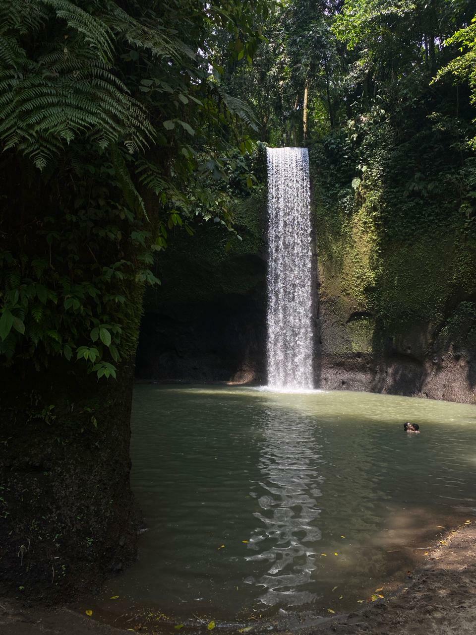 Tibumana Wasserfall – Bild 3